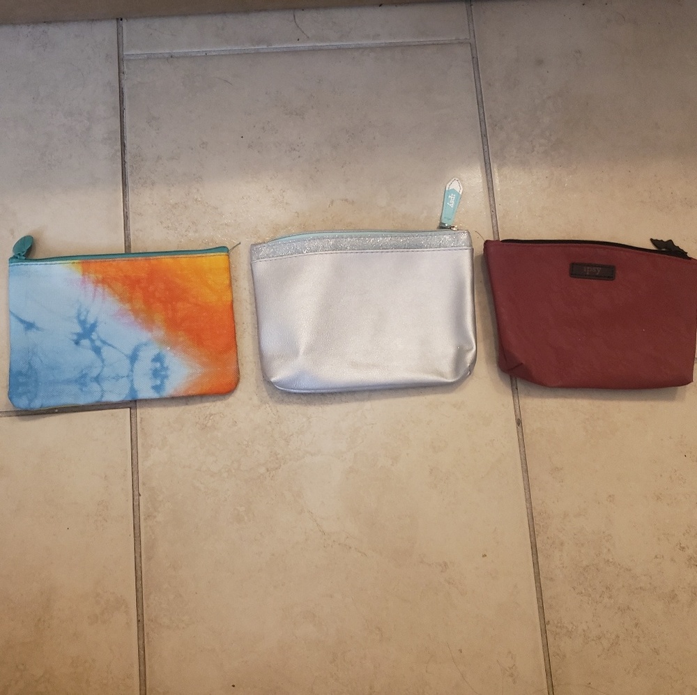 3 for $10 Ipsy Make Up bag